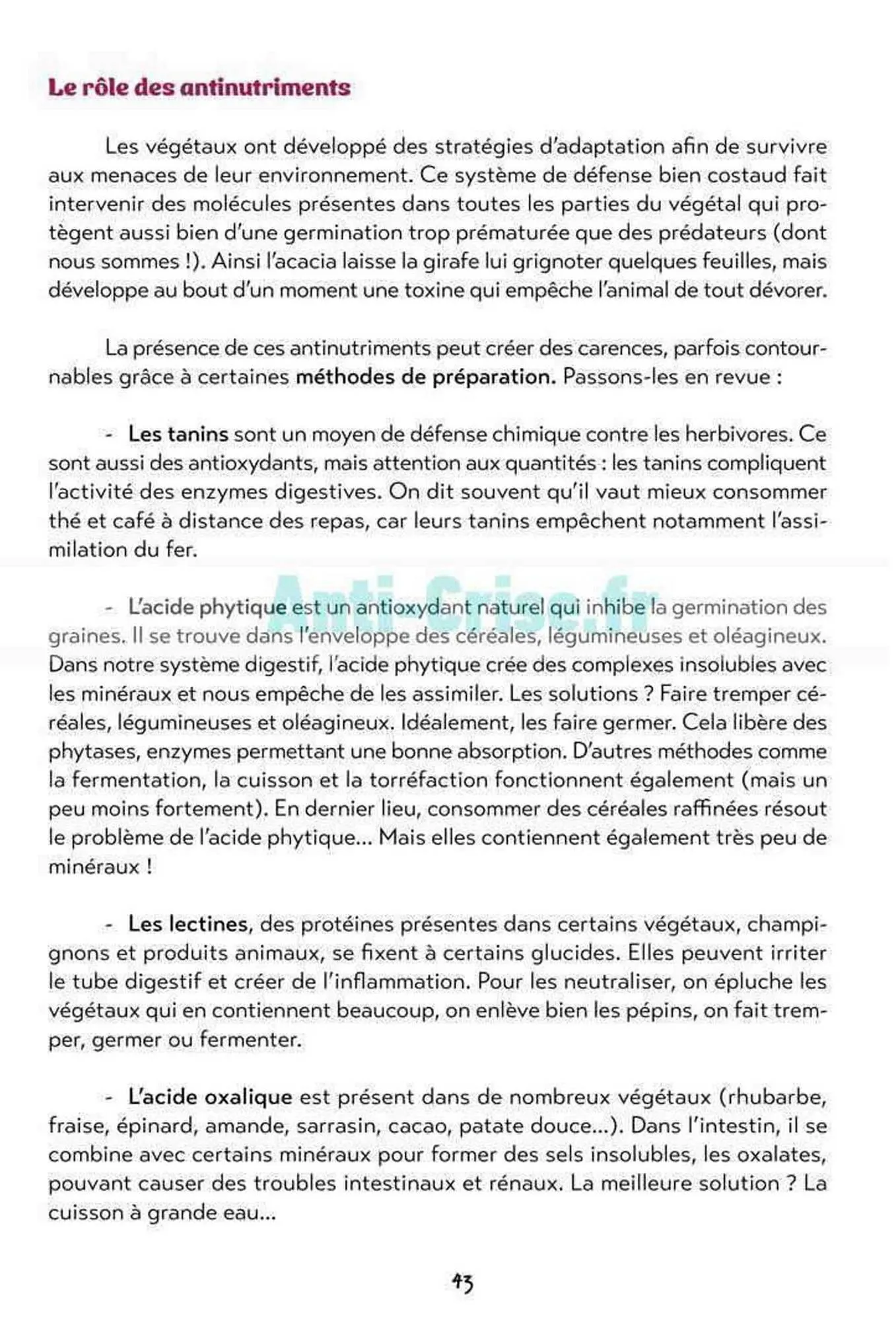 Catalogue Satoriz du 7 mai au 30 juin 2026 - Catalogue page 43
