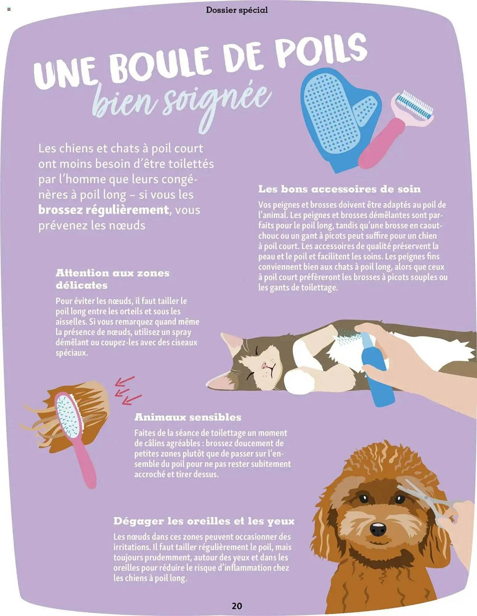 Catalogue Maxi Zoo du 1 octobre au 20 novembre 2025 - Catalogue page 20