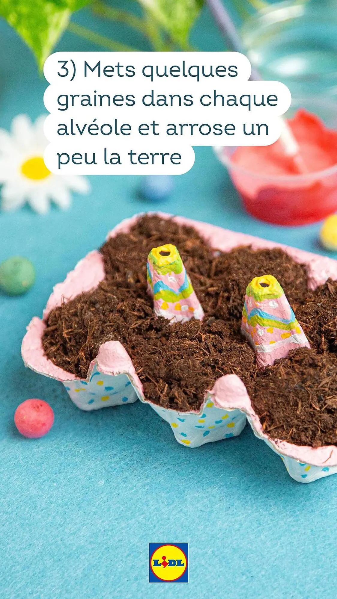 Catalogue Lidl du 13 mars au 27 avril 2025 - Catalogue page 31