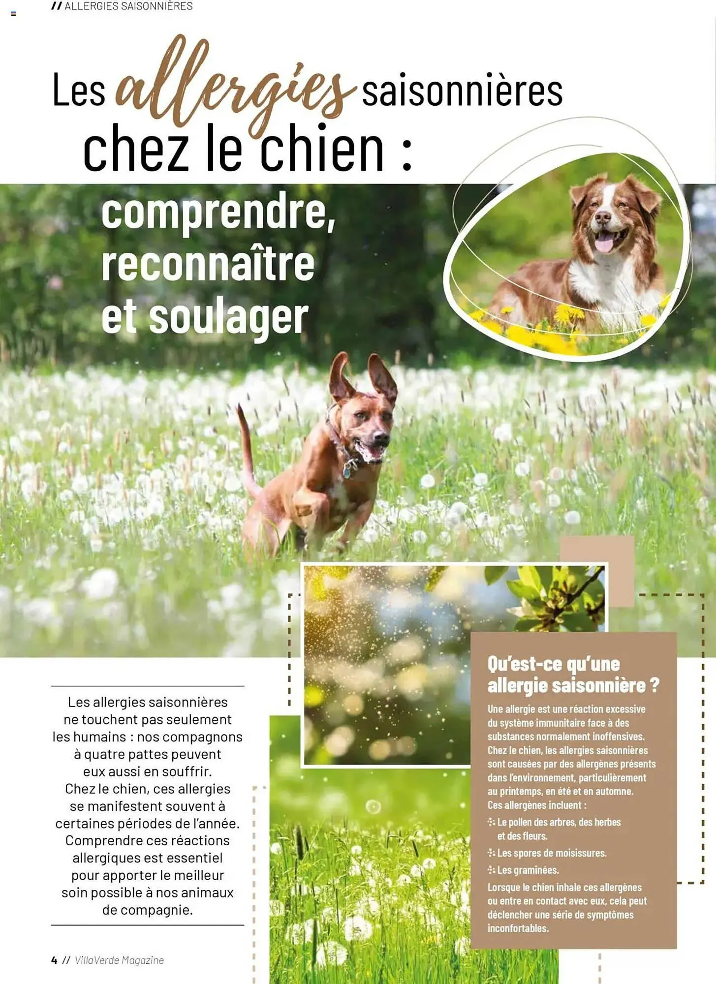 Catalogue VillaVerde du 20 mai au 1 janvier 2026 - Catalogue page 4