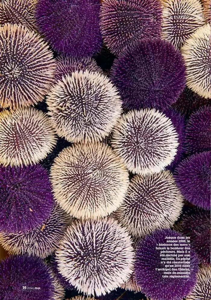 Hiver 2024 du 3 décembre au 20 mars 2025 - Catalogue page 16