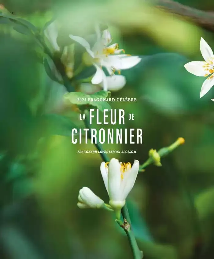 Printemps/Été 2025 du 17 mars au 23 septembre 2025 - Catalogue page 16