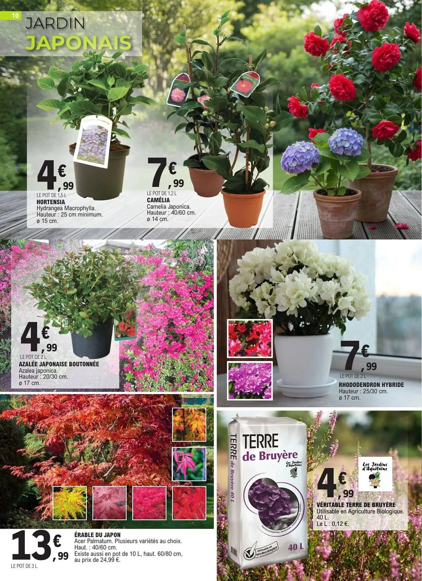 Catalogue E.Leclerc du 10 mars au 21 mars 2026 - Catalogue page 10