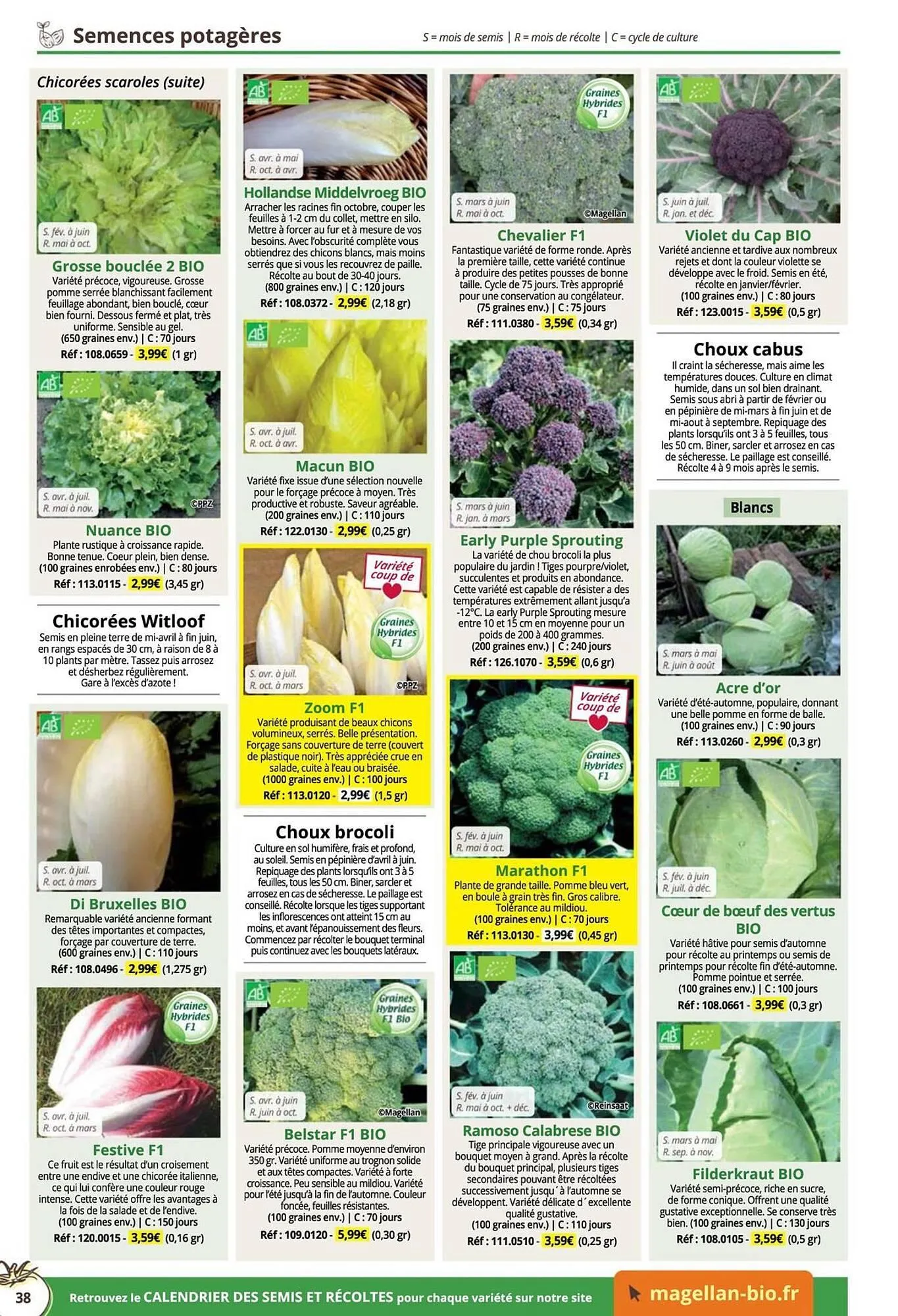 Catalogue Magellan du 16 décembre au 31 décembre 2025 - Catalogue page 38