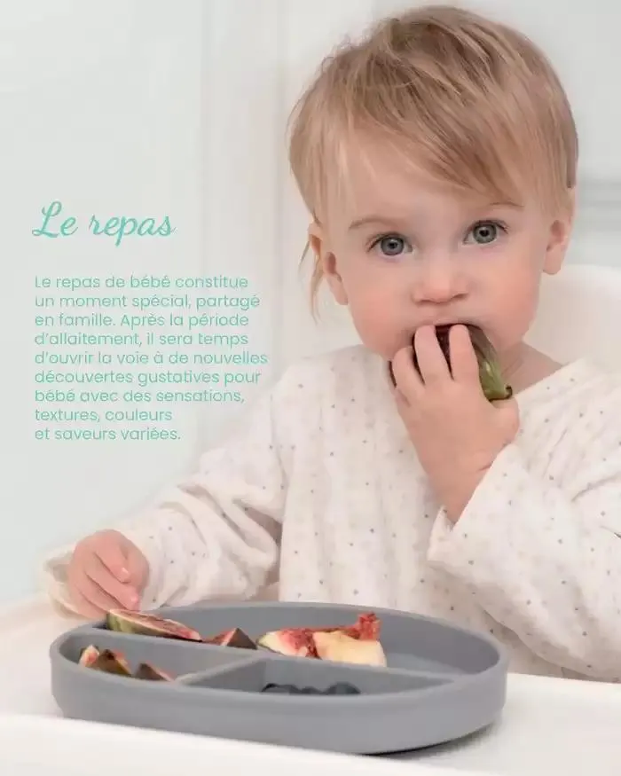 Collection 2024-2025 du 20 août au 30 juin 2025 - Catalogue page 276