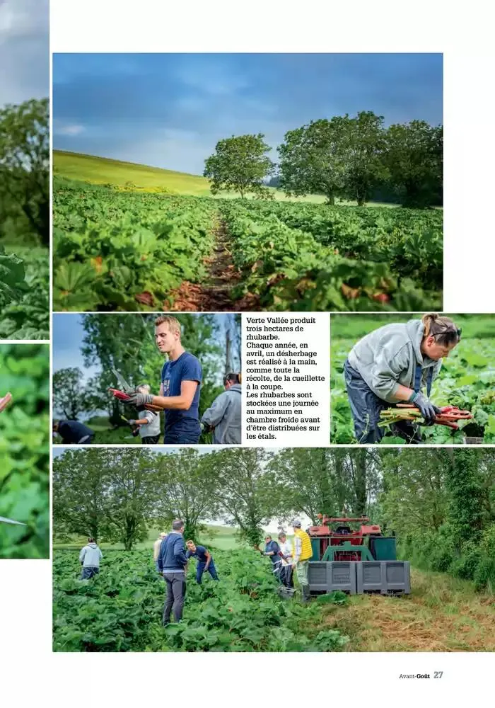 Printemps 2025 du 23 avril au 31 mai 2025 - Catalogue page 27