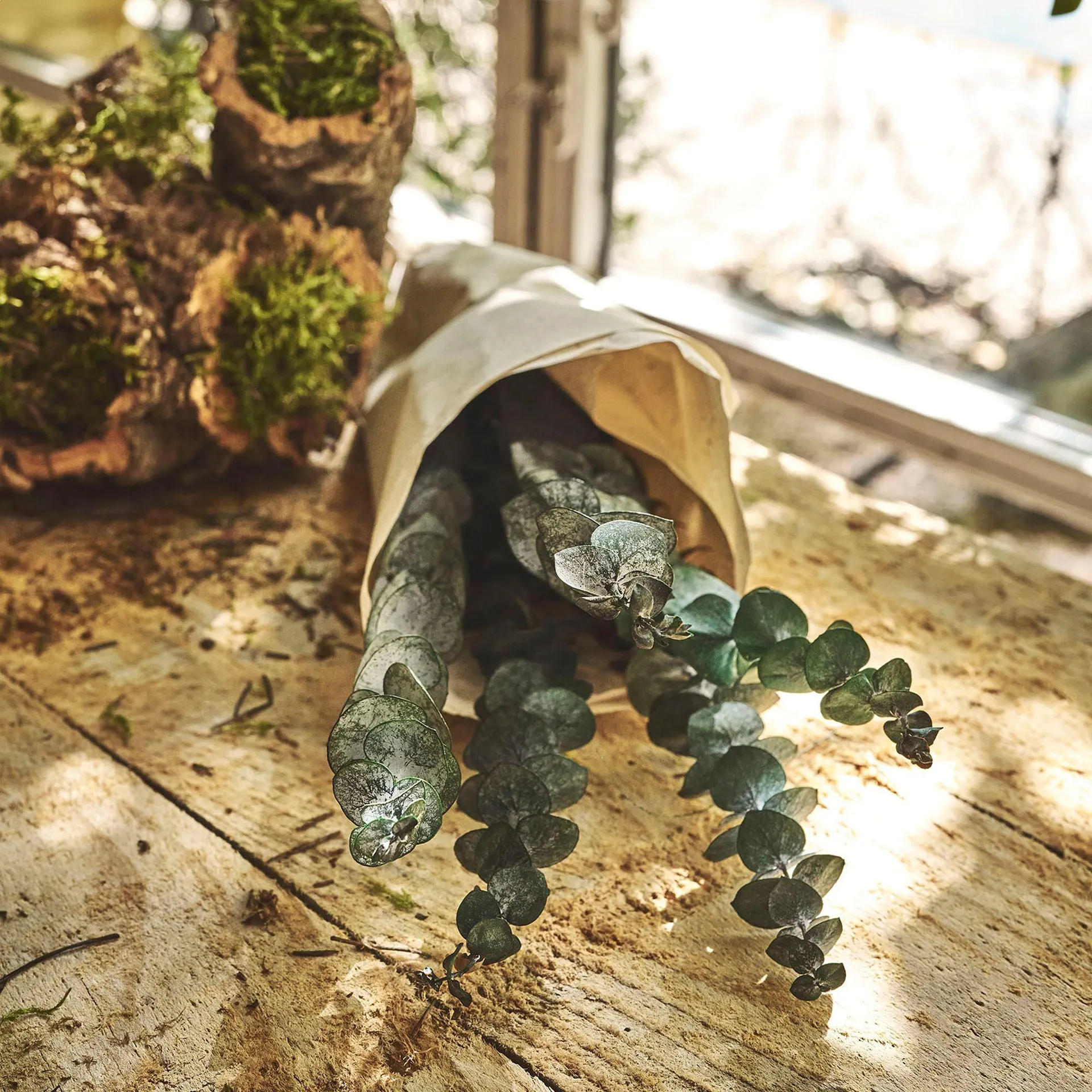 Botte d'eucalyptus préservée 55cm - vert