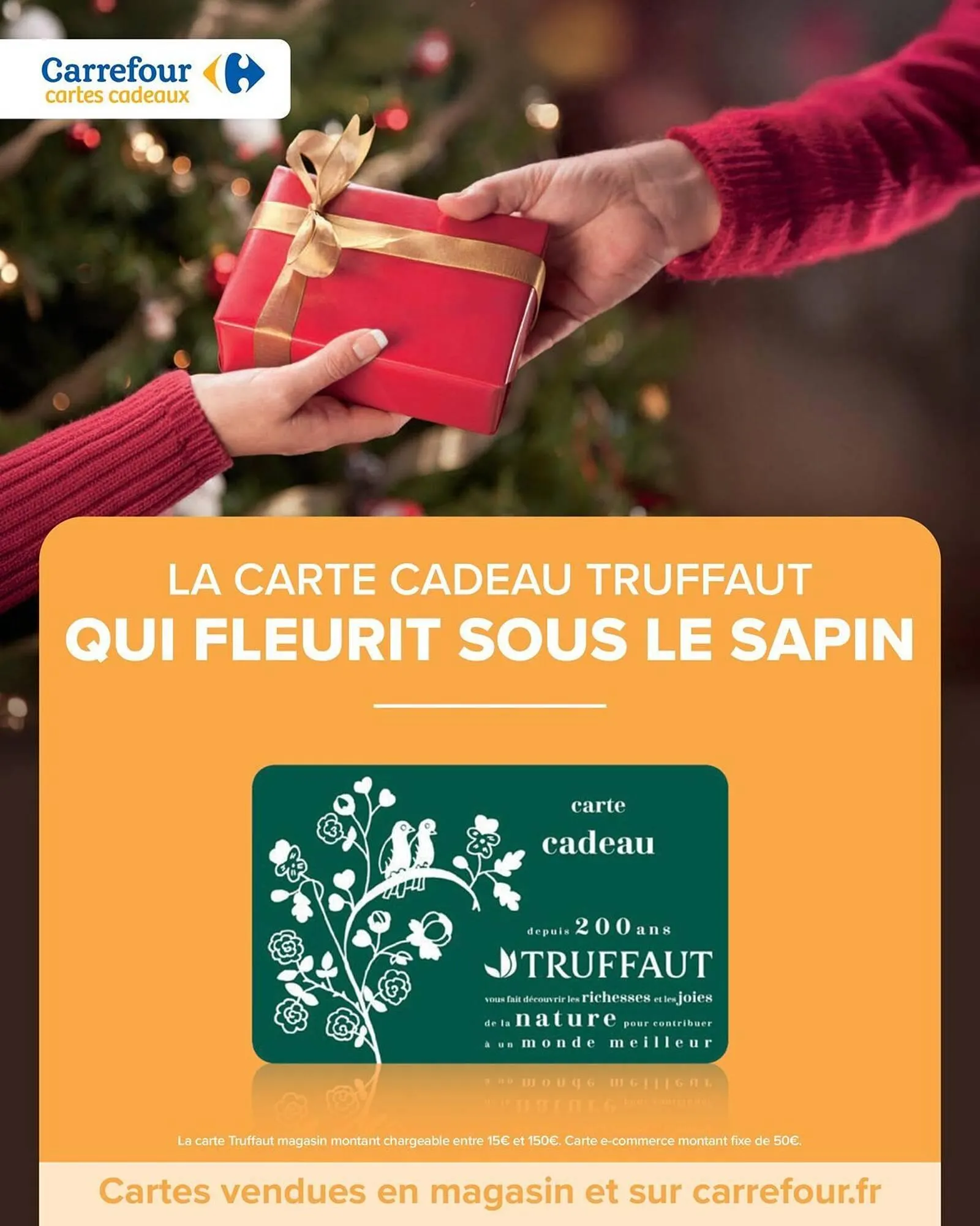 Catalogue Carrefour Market du 2 décembre au 14 décembre 2025 - Catalogue page 83