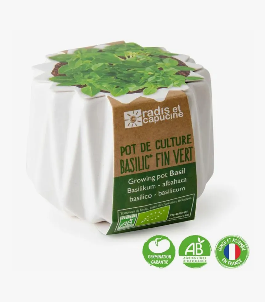 Kit DIY Prêt-à-pousser basilic - Radis et Capucine Basilic Fin Vert