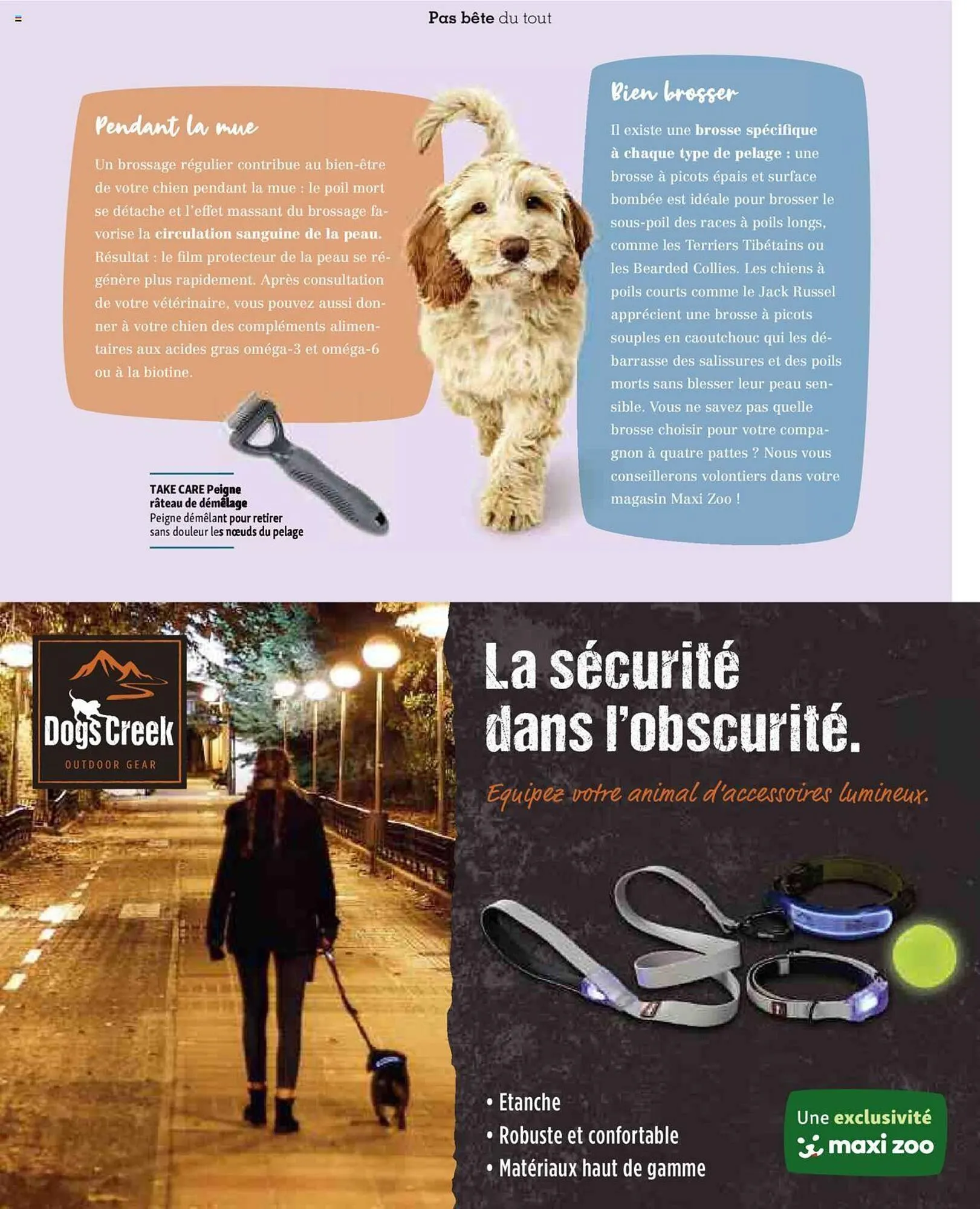Catalogue Maxi Zoo du 1 septembre au 3 novembre 2024 - Catalogue page 31