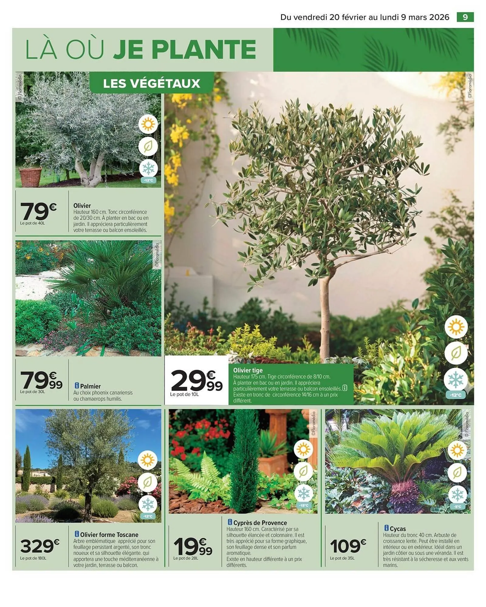 Catalogue Carrefour du 20 février au 9 mars 2026 - Catalogue page 11