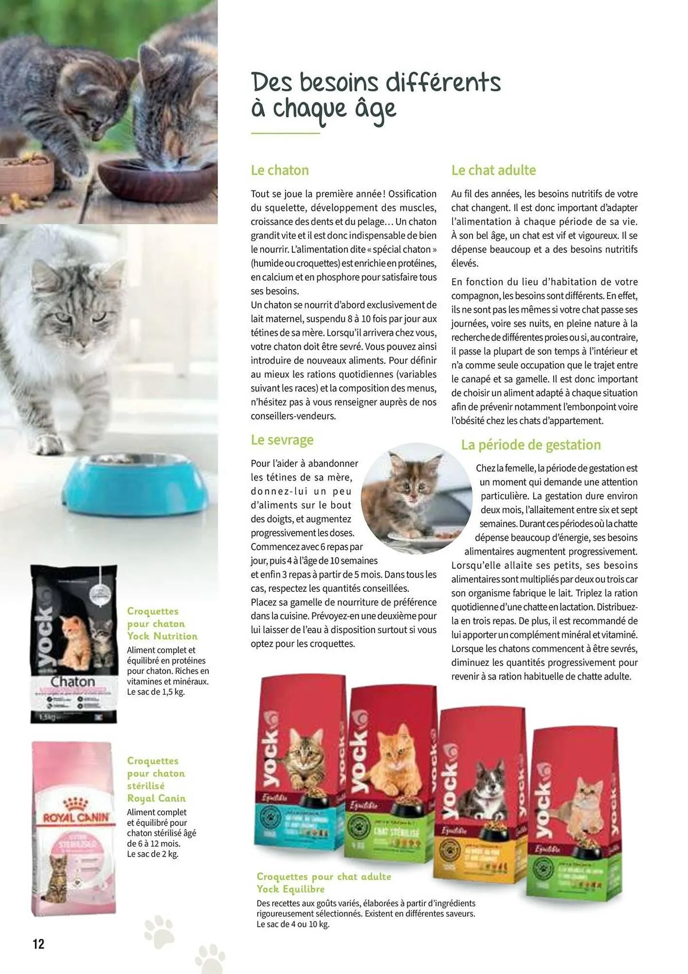 Catalogue Point Vert du 30 avril au 31 décembre 2025 - Catalogue page 12