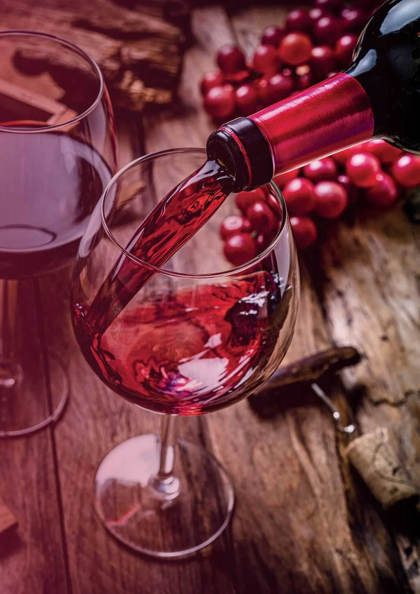 Catalogue Nicolas du 20 novembre au 31 décembre 2025 - Catalogue page 9