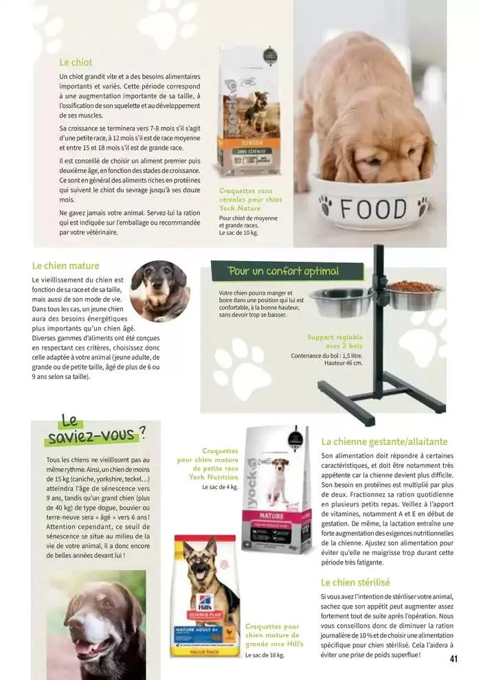 Le guide CHIENS & CHATS du 30 avril au 31 décembre 2025 - Catalogue page 41