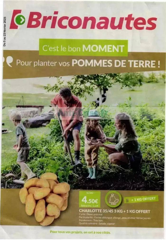 Cest le bon moment Pour planter vos pommes de terre! - 1