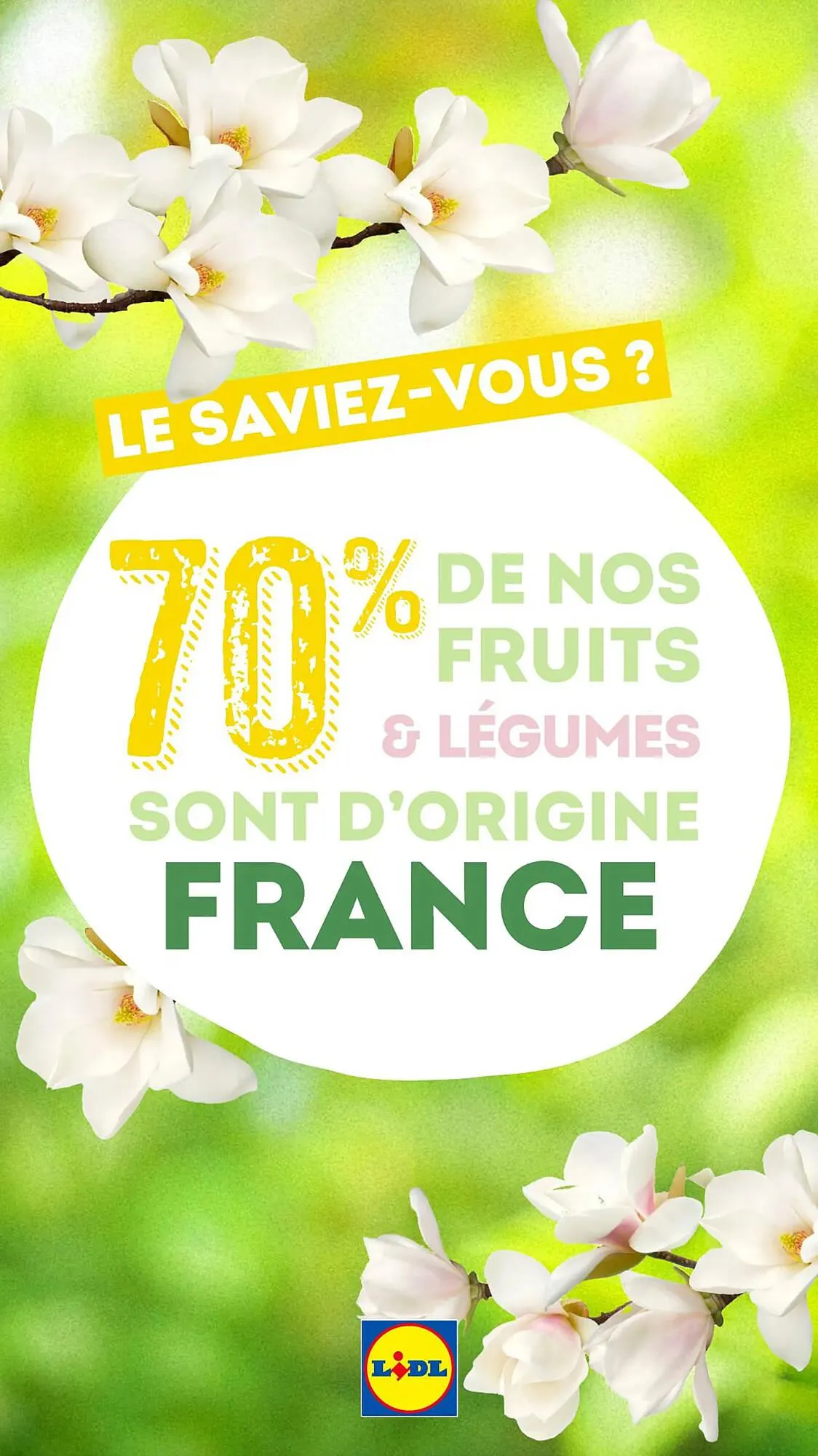 Catalogue Lidl du 13 mars au 27 avril 2025 - Catalogue page 13