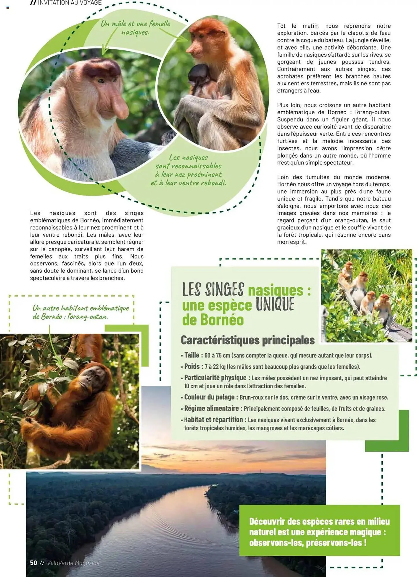 Catalogue VillaVerde du 20 mai au 1 janvier 2026 - Catalogue page 154