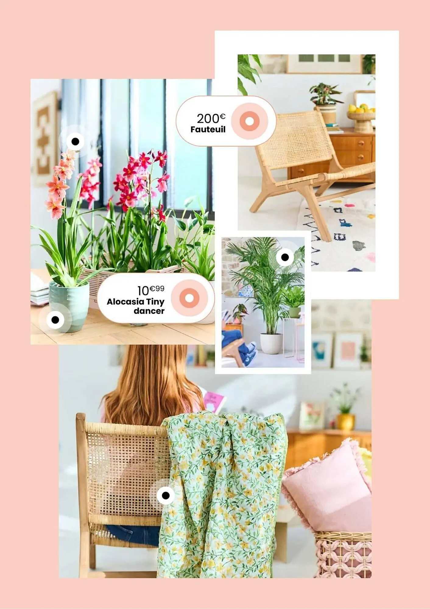 Catalogue Truffaut du 7 avril au 31 mai 2026 - Catalogue page 16