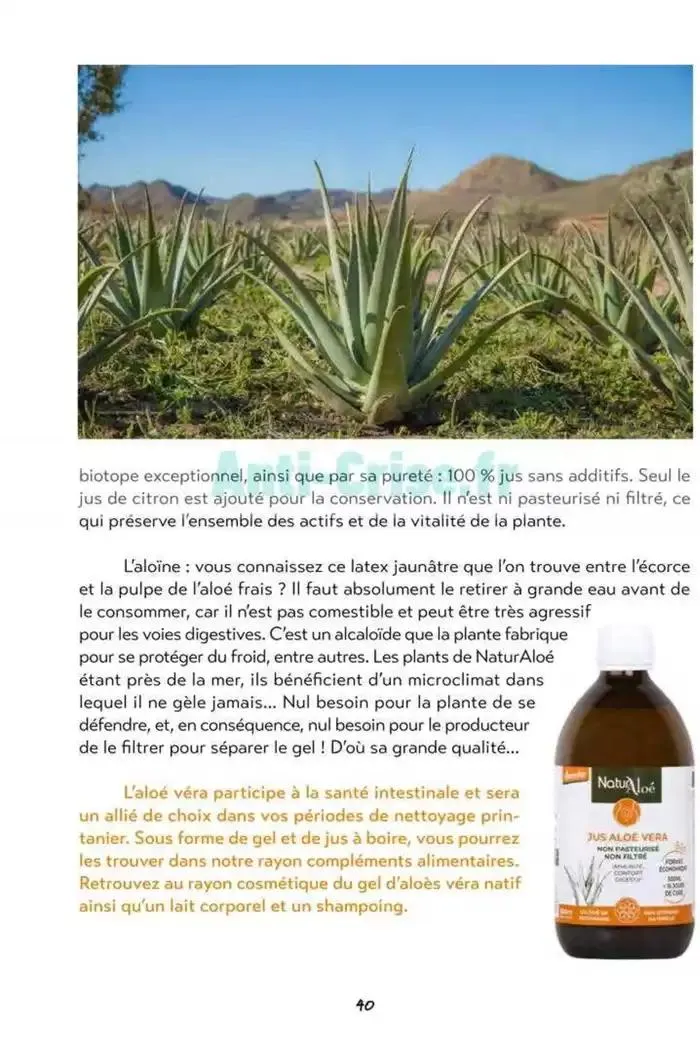 Mars - Avril 2025 du 5 mars au 30 avril 2025 - Catalogue page 40