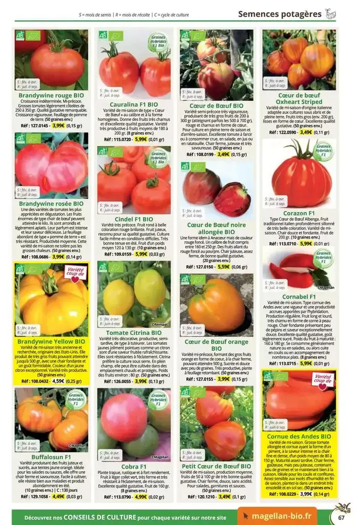 Catalogue Général 2025 du 16 décembre au 31 décembre 2025 - Catalogue page 67