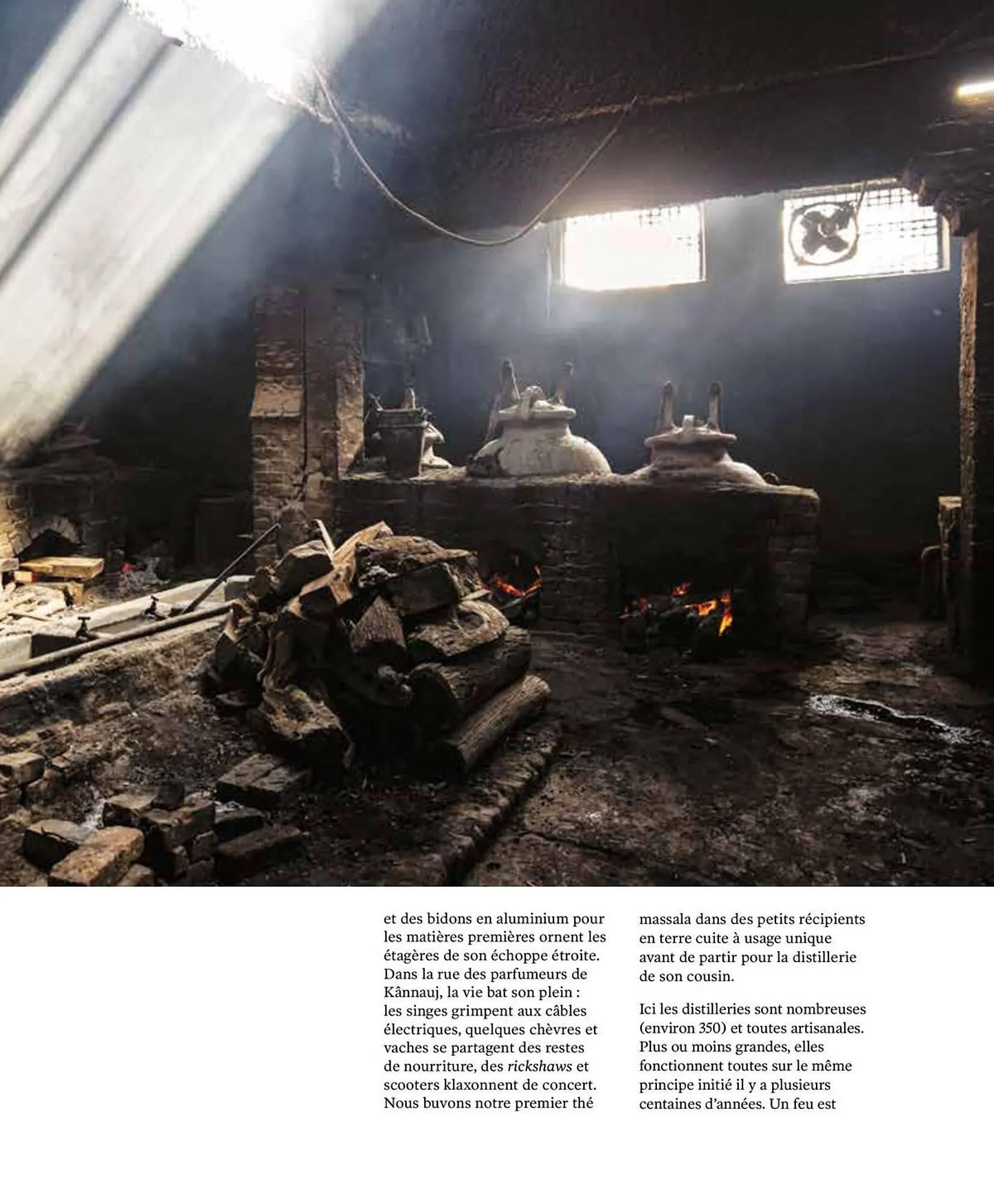 Catalogue Fragonard du 9 mars au 20 septembre 2026 - Catalogue page 137