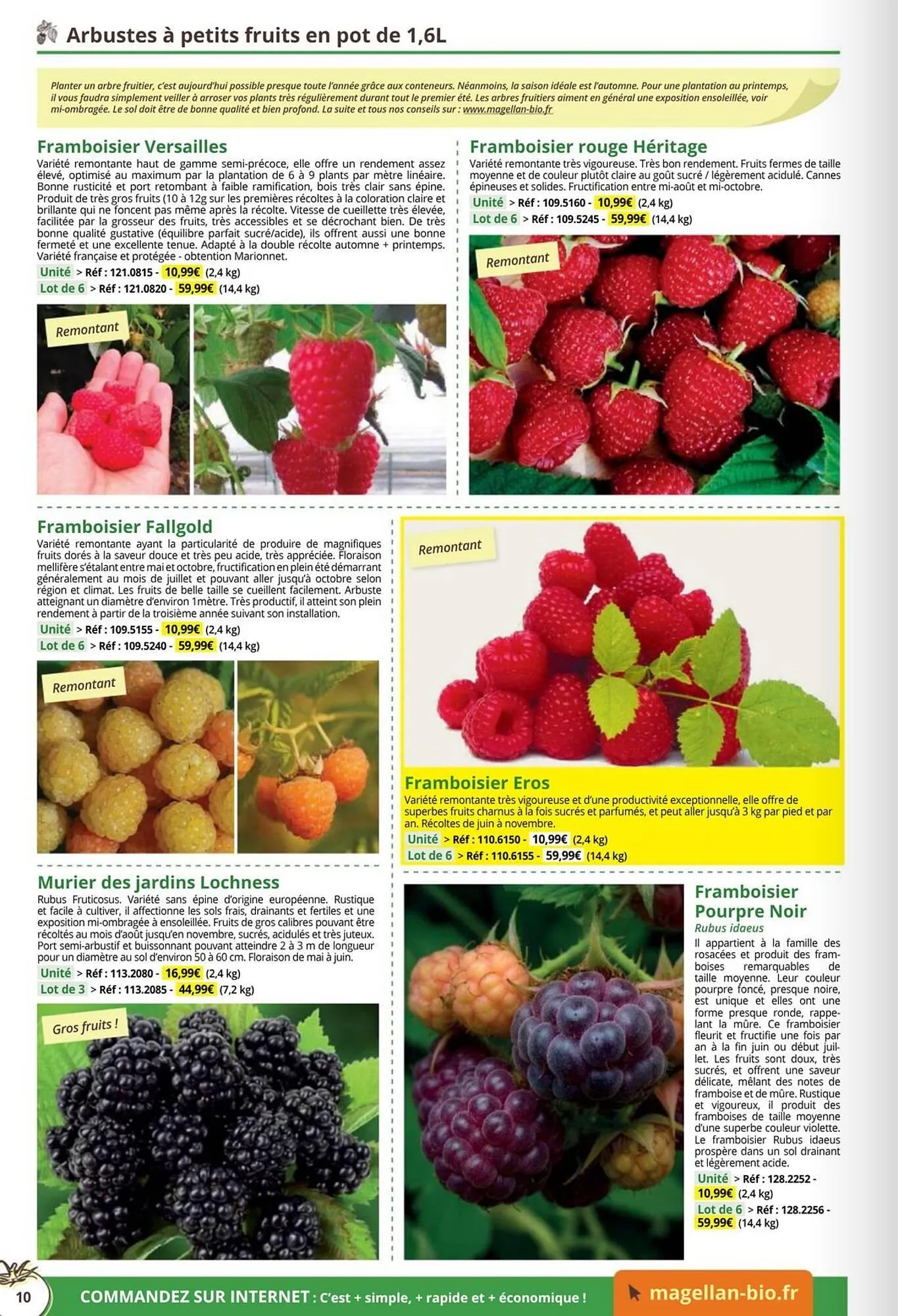 Catalogue Magellan du 1 janvier au 31 décembre 2026 - Catalogue page 10