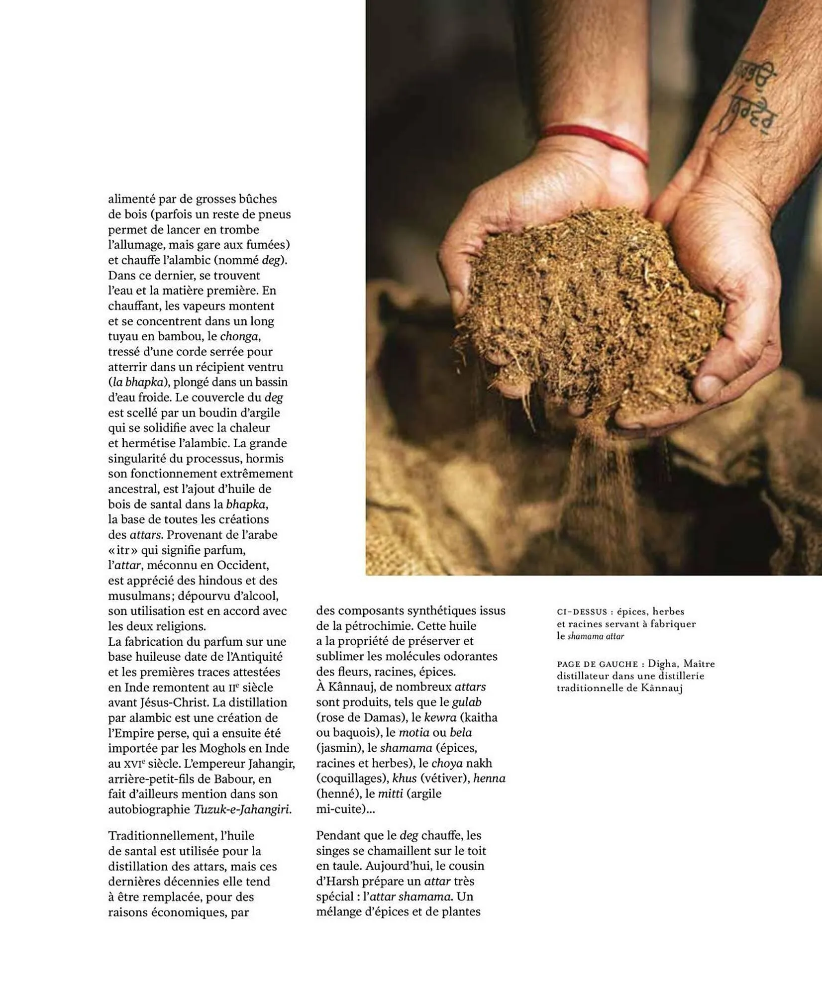 Catalogue Fragonard du 9 mars au 20 septembre 2026 - Catalogue page 139