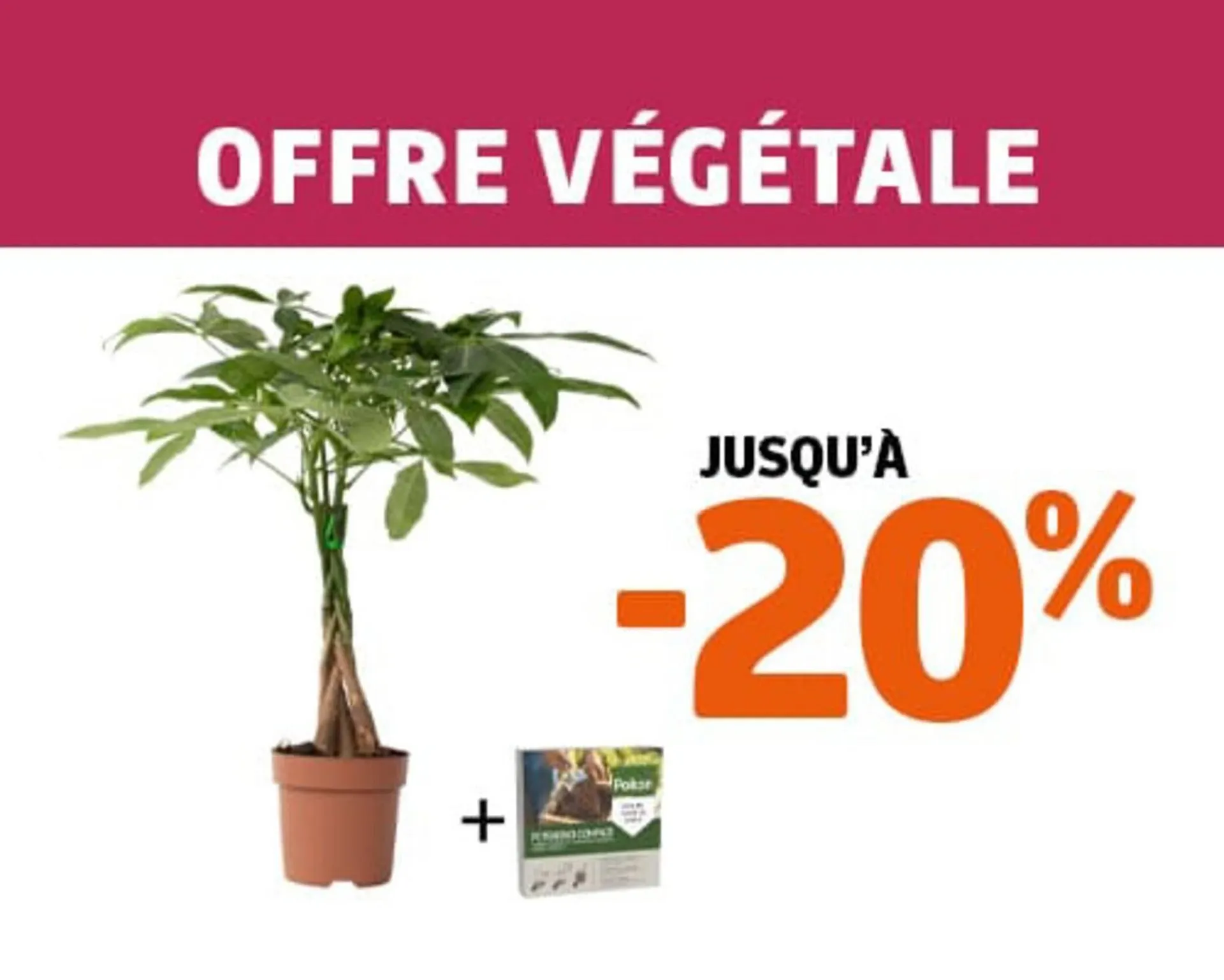 Catalogue Jardiland du 30 décembre au 7 janvier 2026 - Catalogue page 2