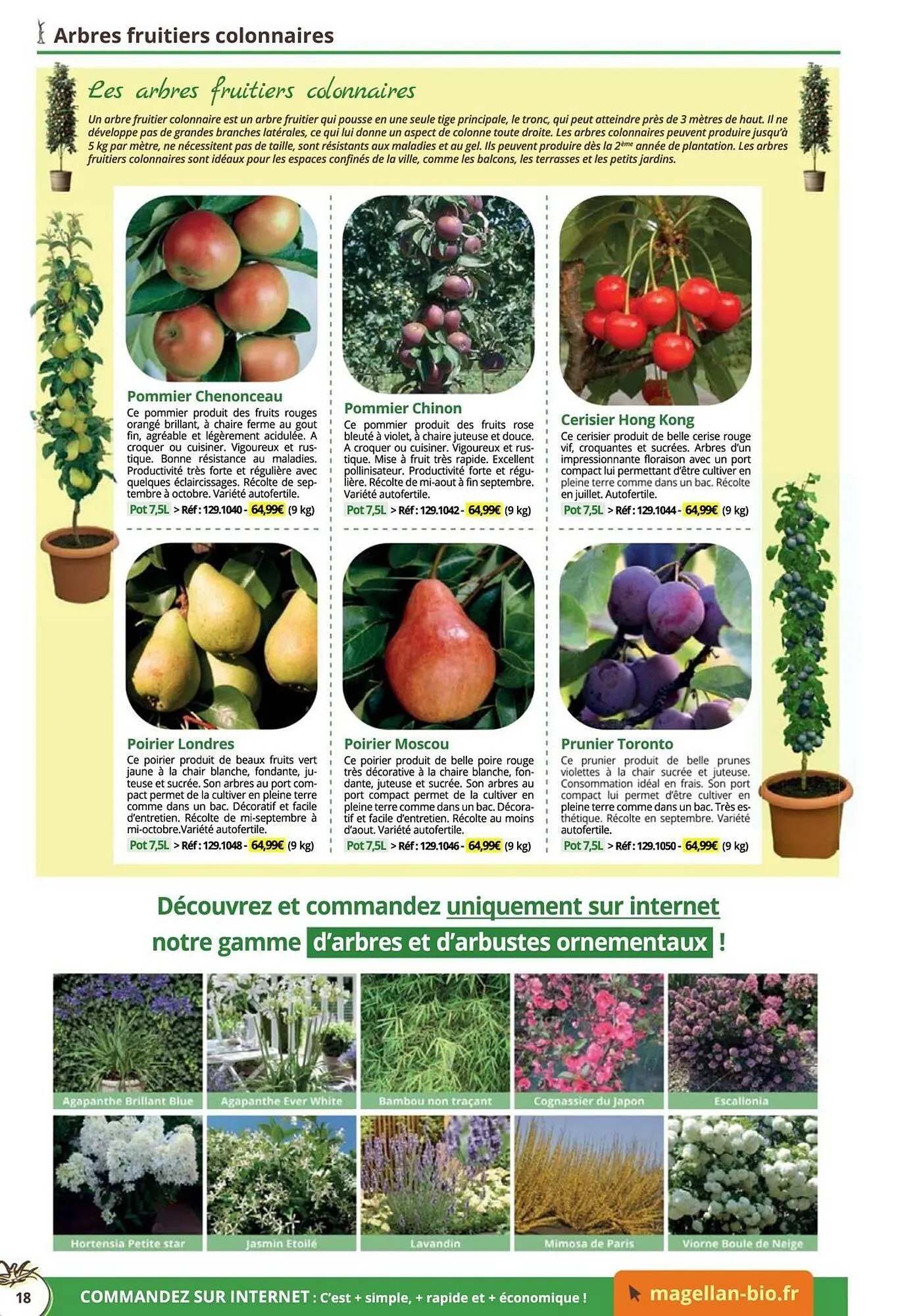 Catalogue Magellan du 16 décembre au 31 décembre 2025 - Catalogue page 18