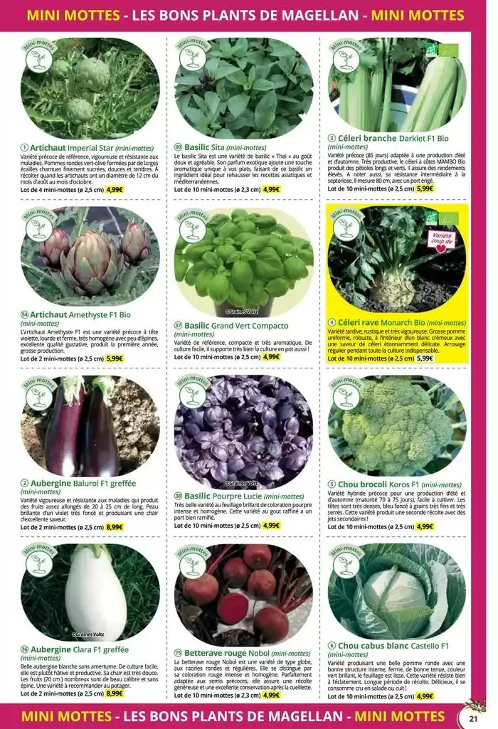 Catalogue Général 2025 du 16 décembre au 31 décembre 2025 - Catalogue page 21