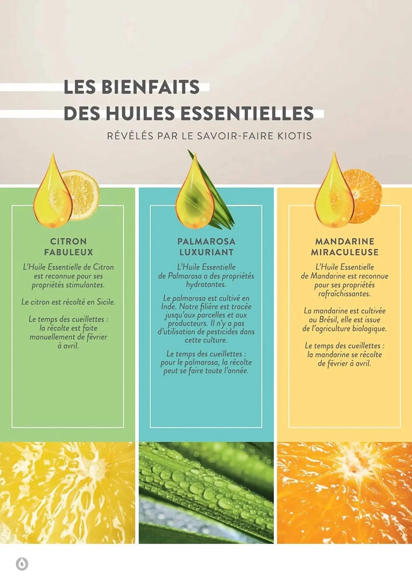 Catalogue Stanhome du 20 janvier au 31 décembre 2026 - Catalogue page 6