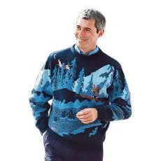 Pull brodé jacquard