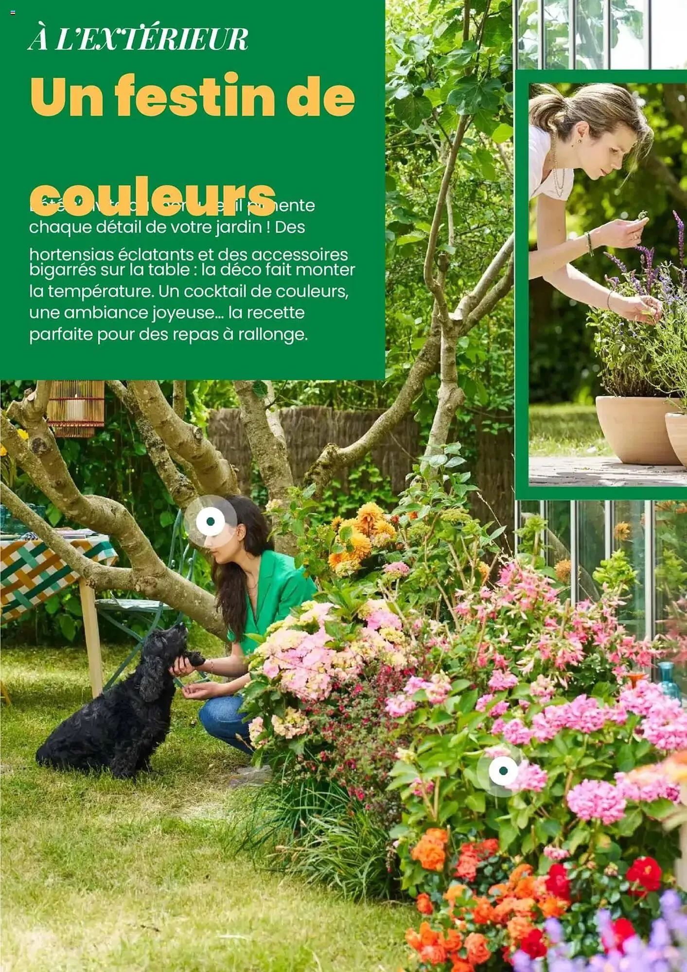 Catalogue Truffaut du 7 mai au 31 juillet 2025 - Catalogue page 12