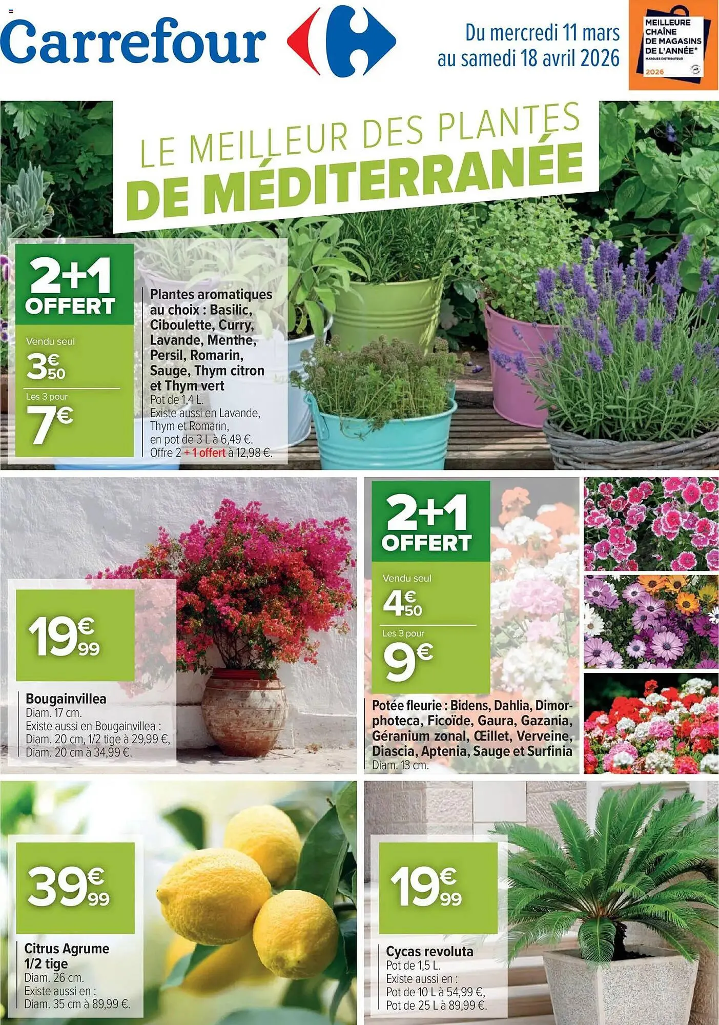 Catalogue Carrefour - 1