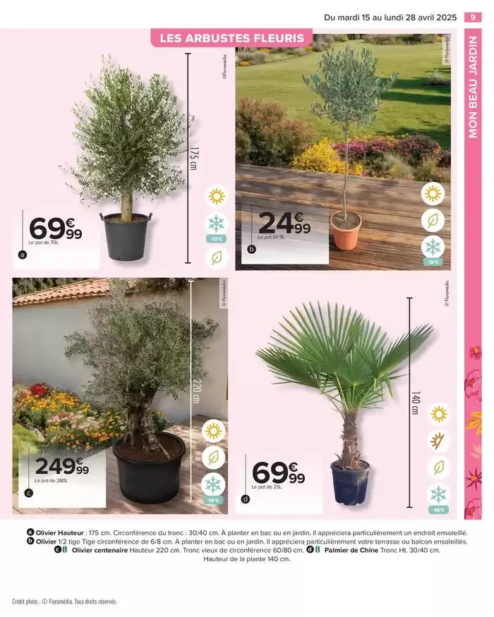 PROFITER ENFIN DE SON JARDIN du 15 avril au 28 avril 2025 - Catalogue page 9