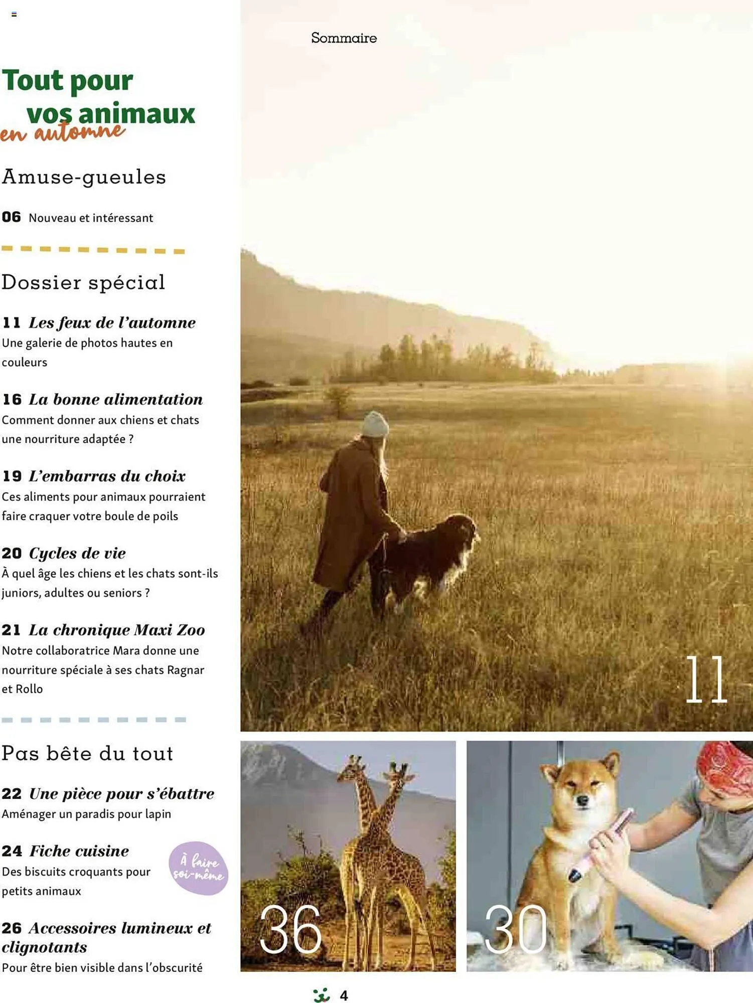 Catalogue Maxi Zoo du 1 septembre au 3 novembre 2024 - Catalogue page 4