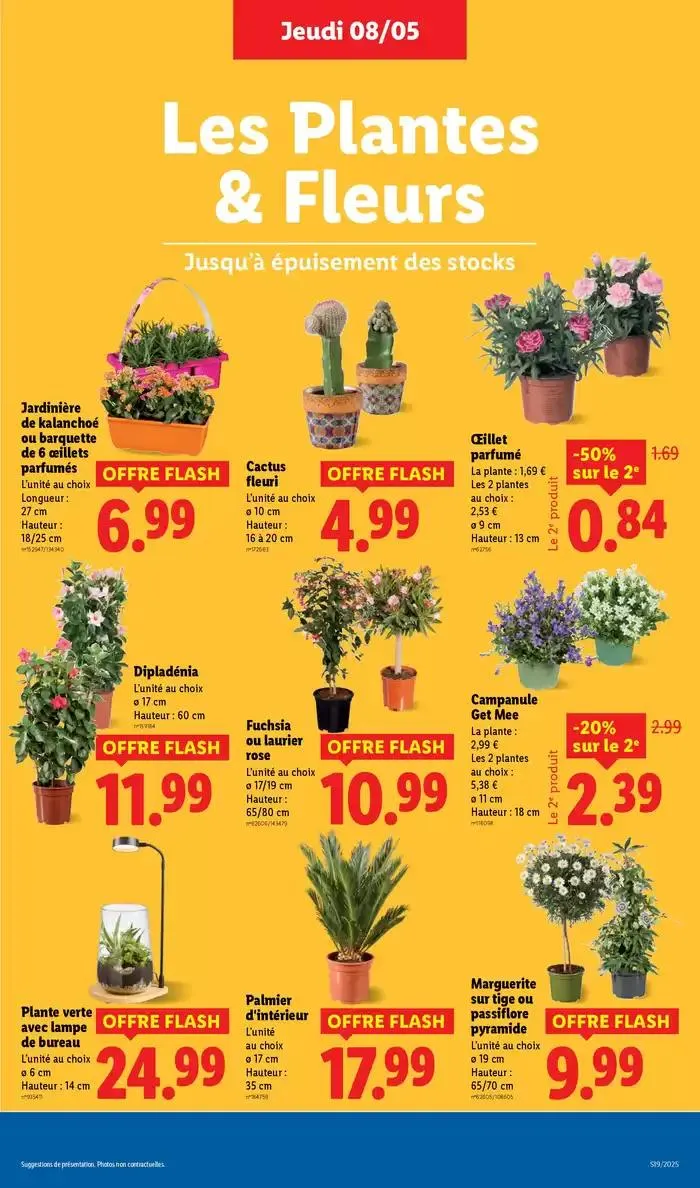 Profitez d'une baisse de prix dans les supermarchés Lidl sur vos produits du quotidien ! du 8 mai au 14 mai 2025 - Catalogue page 33
