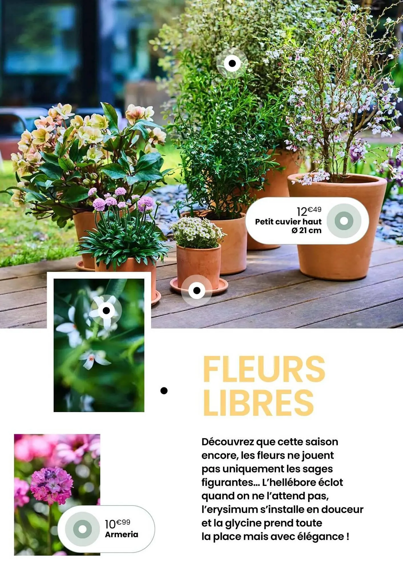 Catalogue Truffaut du 7 avril au 31 mai 2026 - Catalogue page 9