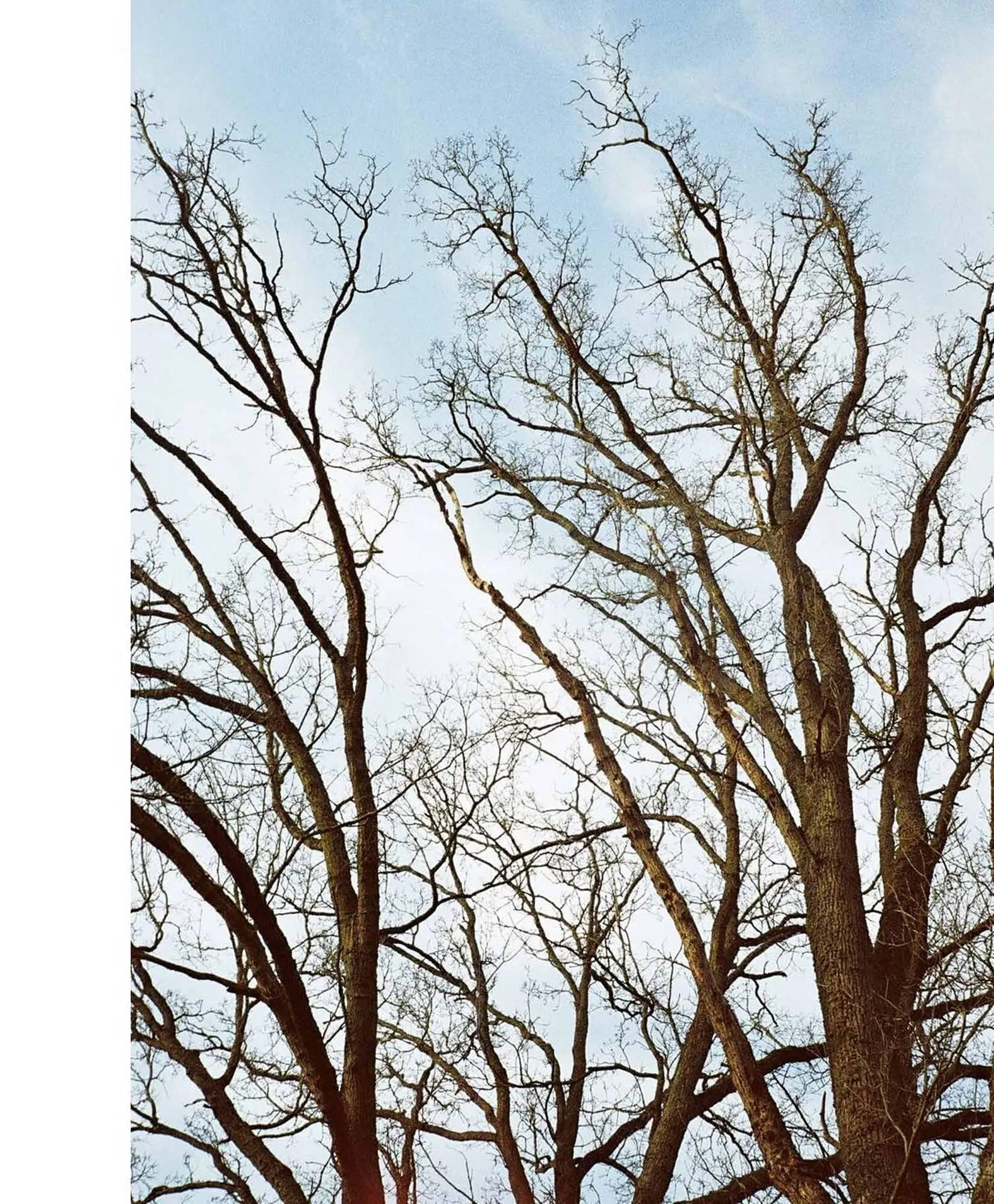 Catalogue Fragonard du 1 octobre au 20 mars 2026 - Catalogue page 45