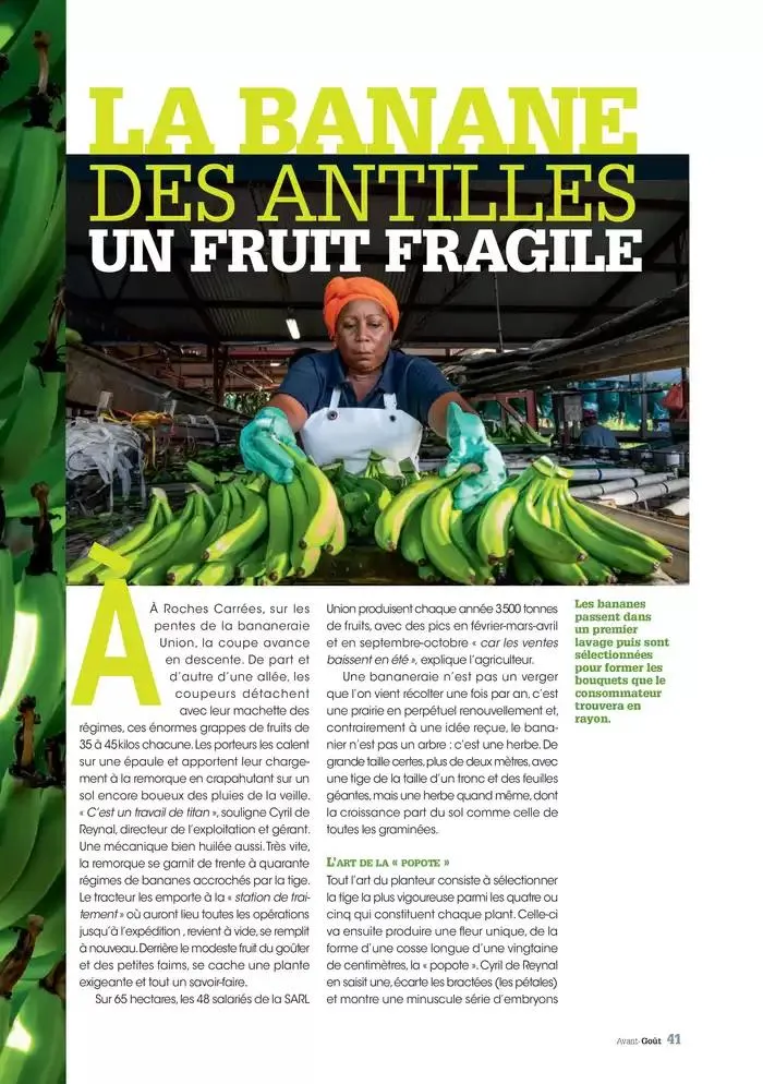 Hiver 2024 du 3 décembre au 20 mars 2025 - Catalogue page 41