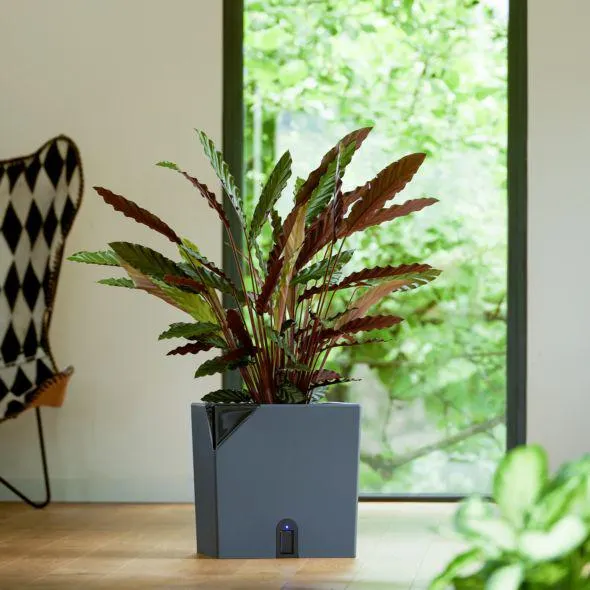 Pot de fleurs EDA carré Aqualight 35 cm Anthracite