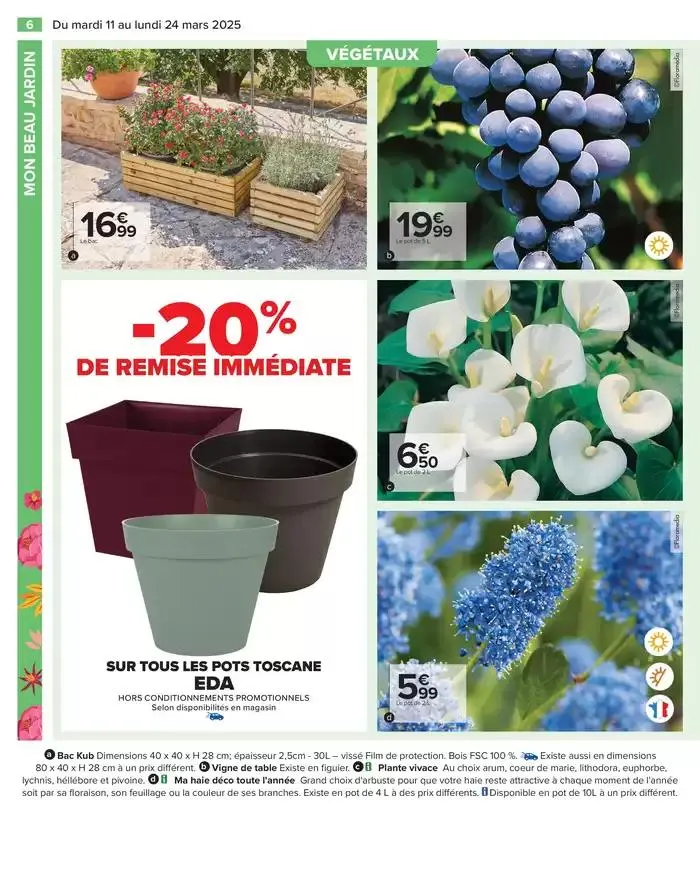 PROFITER ENFIN DE SON JARDIN du 11 mars au 24 mars 2025 - Catalogue page 8