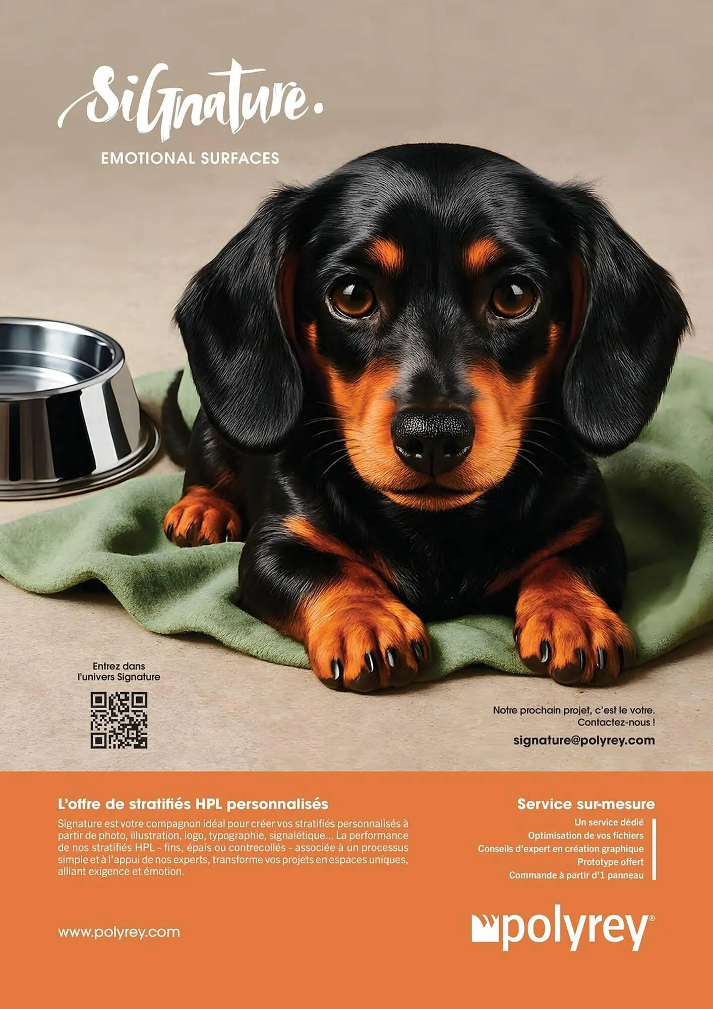 Catalogue Dispano du 8 avril au 31 décembre 2026 - Catalogue page 73