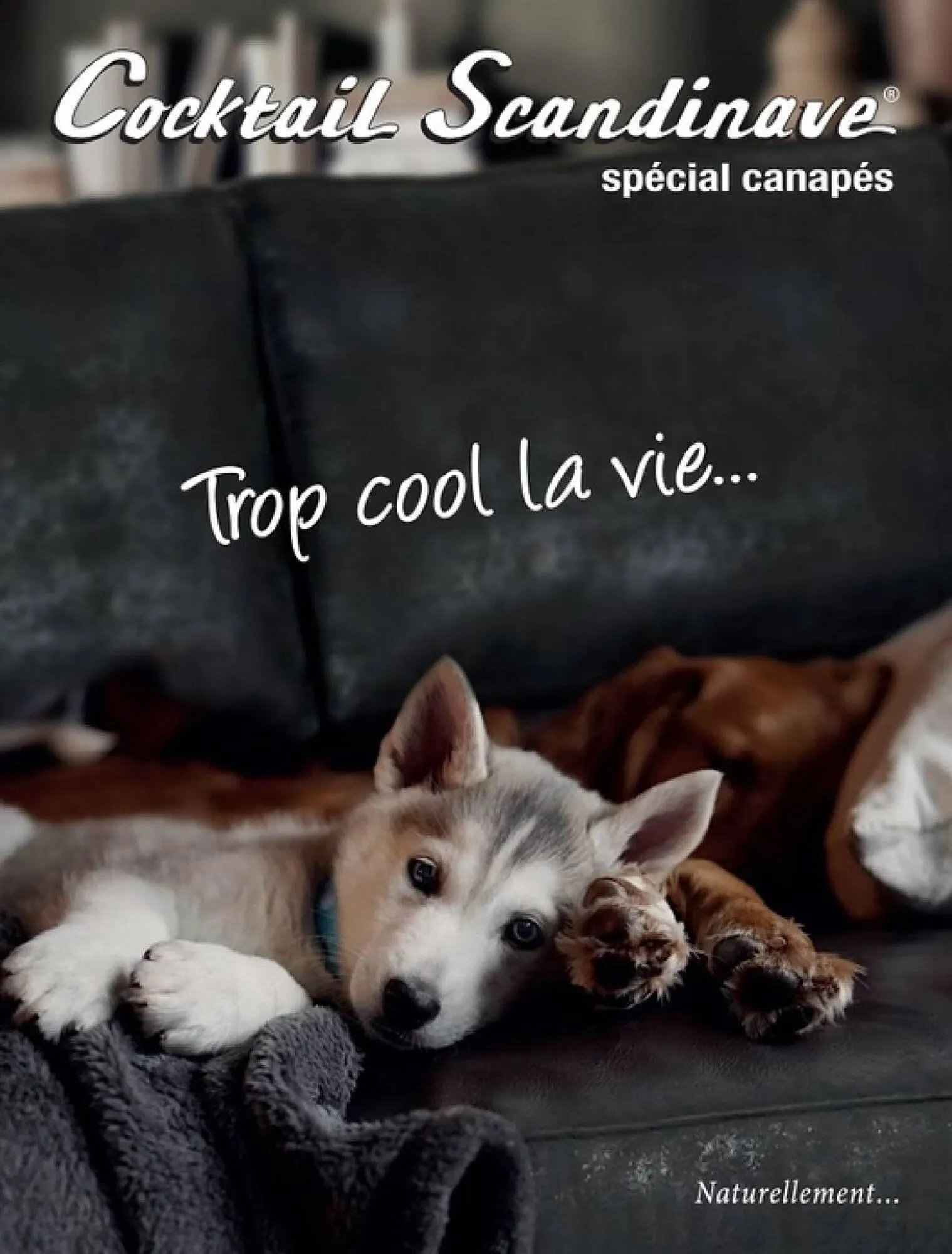 Catalogue Cocktail Scandinave - 1