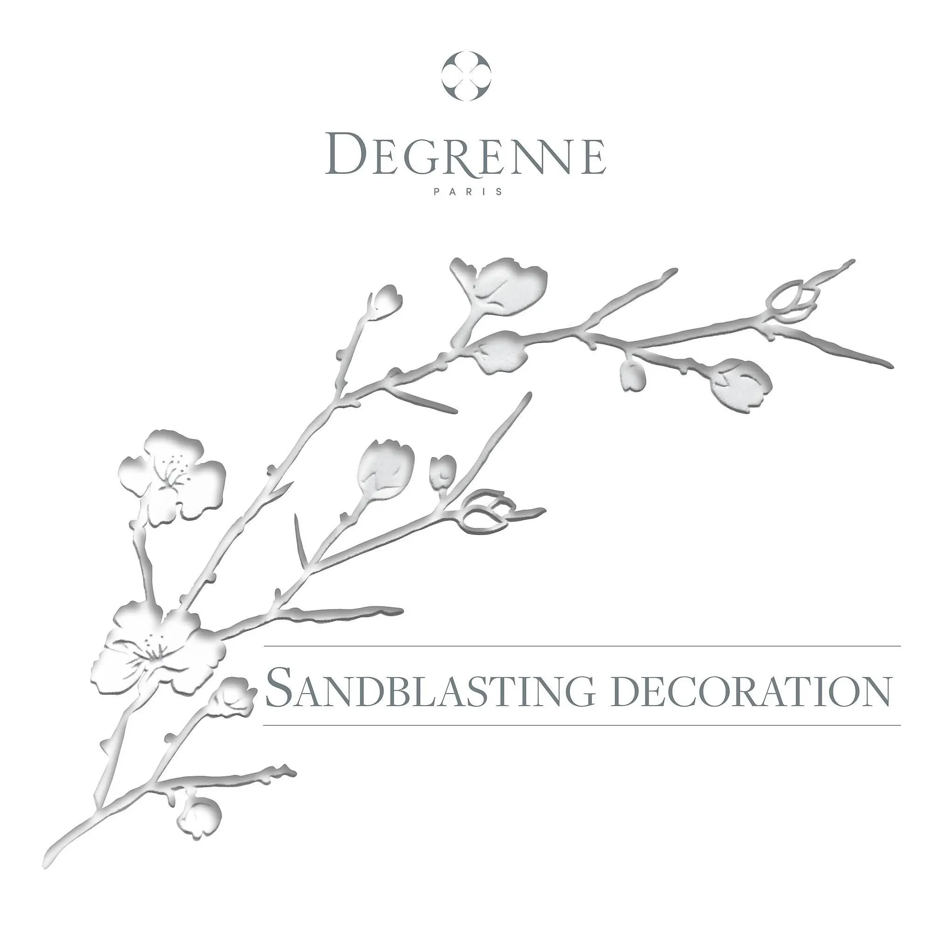 Catalogue Degrenne du 5 mars au 1 juin 2025 - Catalogue page 1