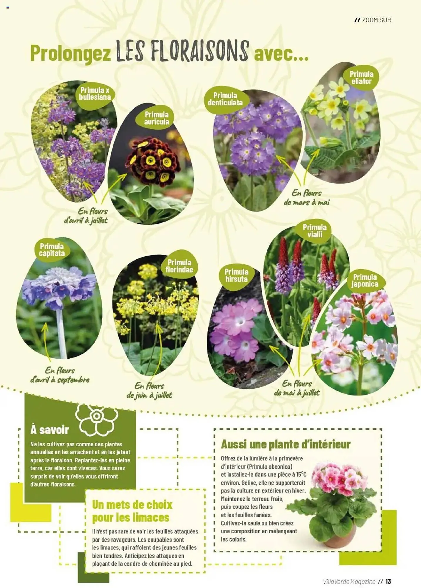 Catalogue VillaVerde du 19 septembre au 28 février 2026 - Catalogue page 13