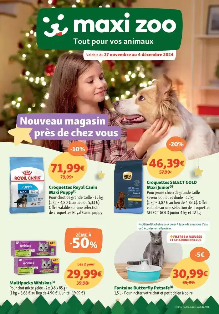 Féérie de Noël à prix doux - 1