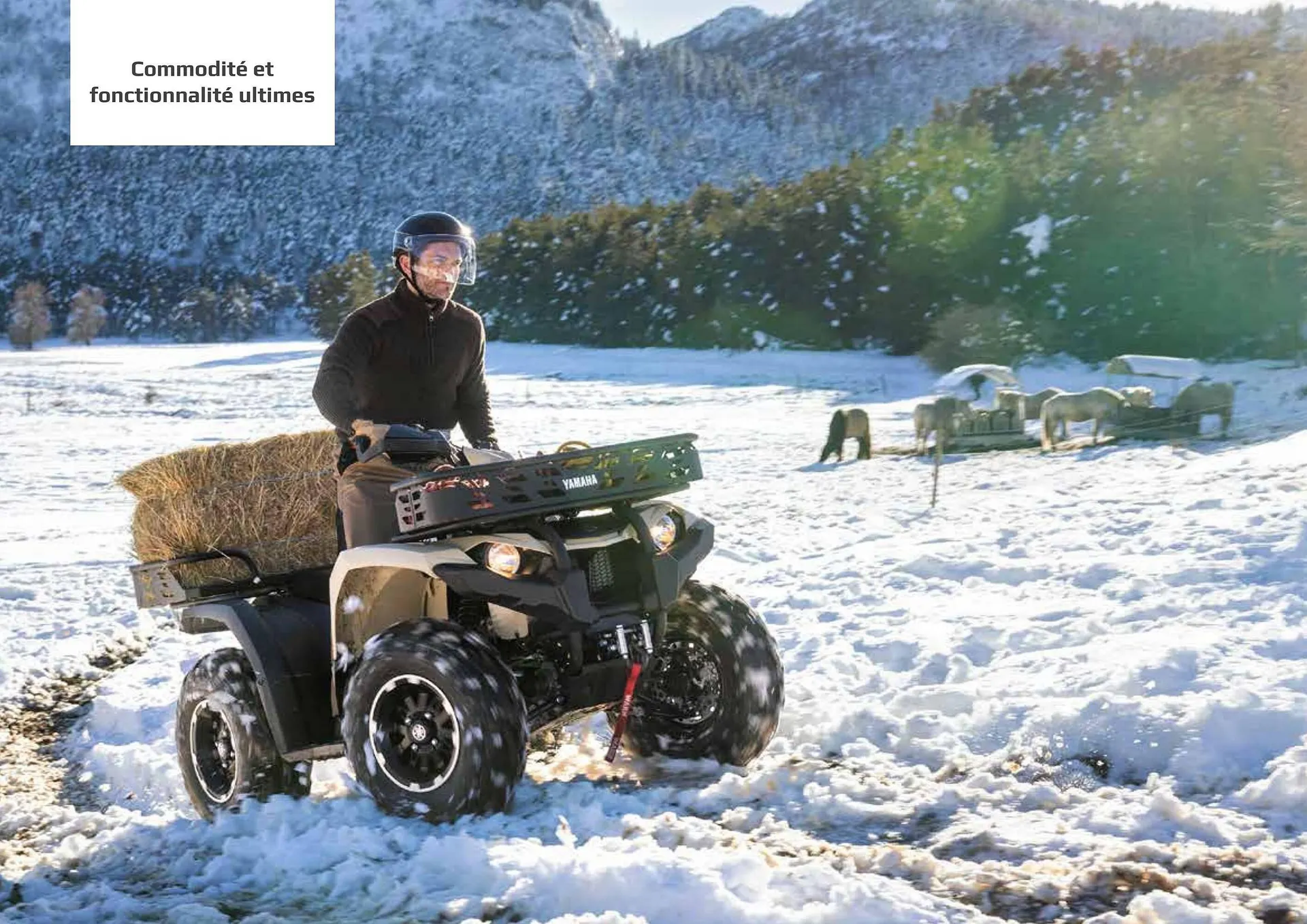 Catalogue Yamaha du 8 avril au 26 décembre 2026 - Catalogue page 14