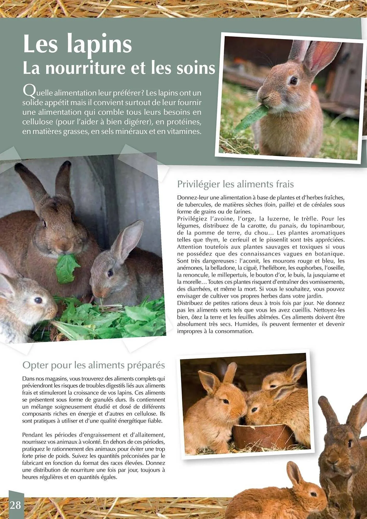 Catalogue Point Vert du 30 avril au 31 décembre 2025 - Catalogue page 28