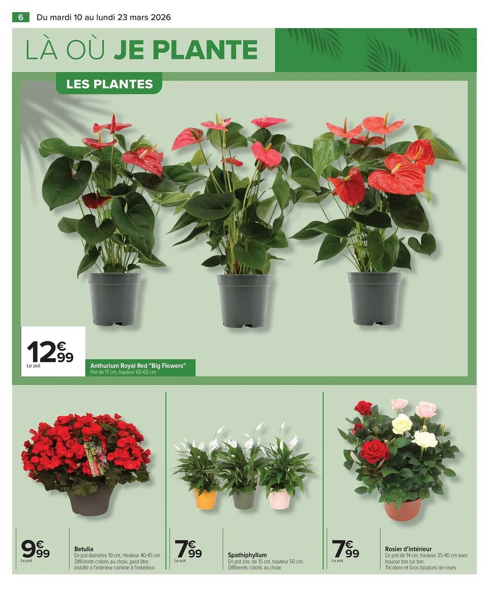 Catalogue Carrefour du 10 mars au 23 mars 2026 - Catalogue page 11